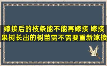 嫁接后的枝条能不能再嫁接 嫁接果树长出的树苗需不需要重新嫁接